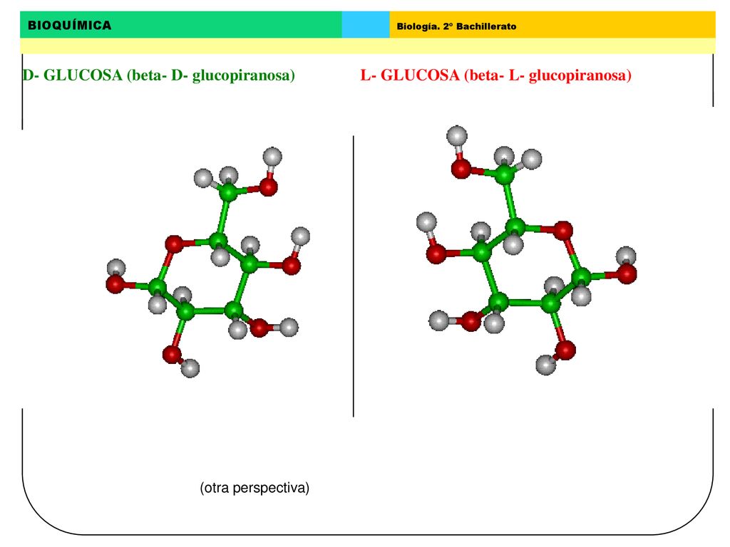 D- GLUCOSA (beta- D- glucopiranosa) L- GLUCOSA (beta- L- glucopiranosa)