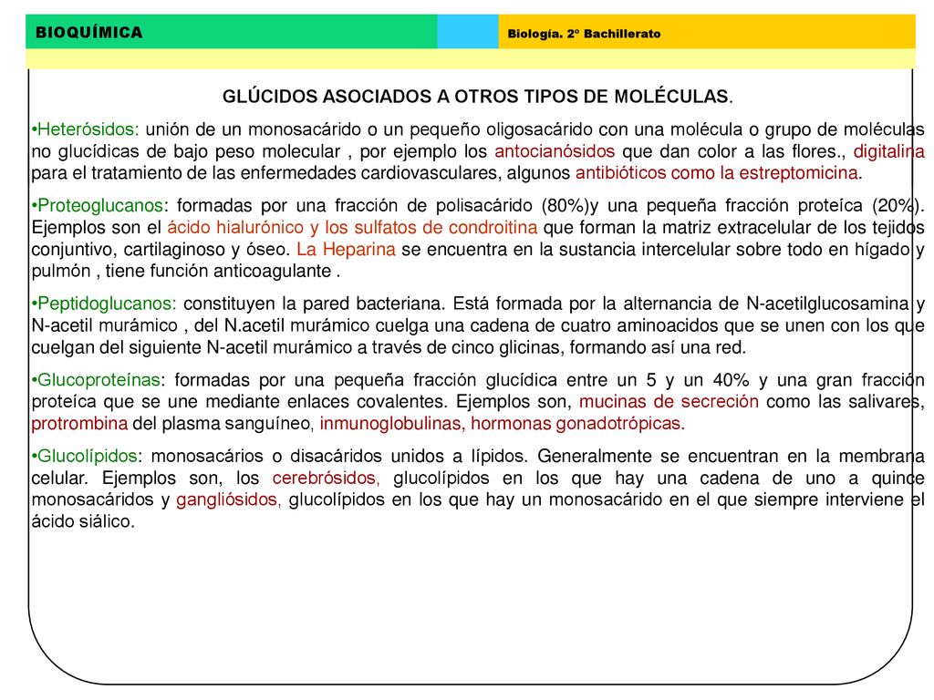 GLÚCIDOS ASOCIADOS A OTROS TIPOS DE MOLÉCULAS.