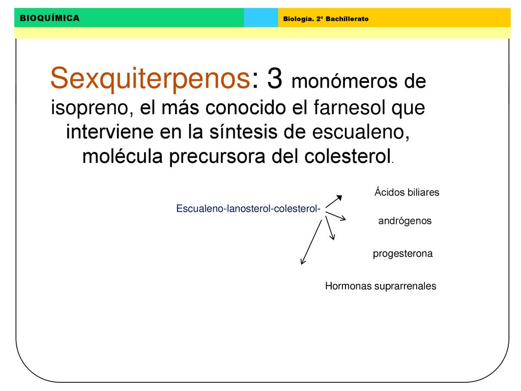Sexquiterpenos: 3 monómeros de isopreno, el más conocido el farnesol que interviene en la síntesis de escualeno, molécula precursora del colesterol.