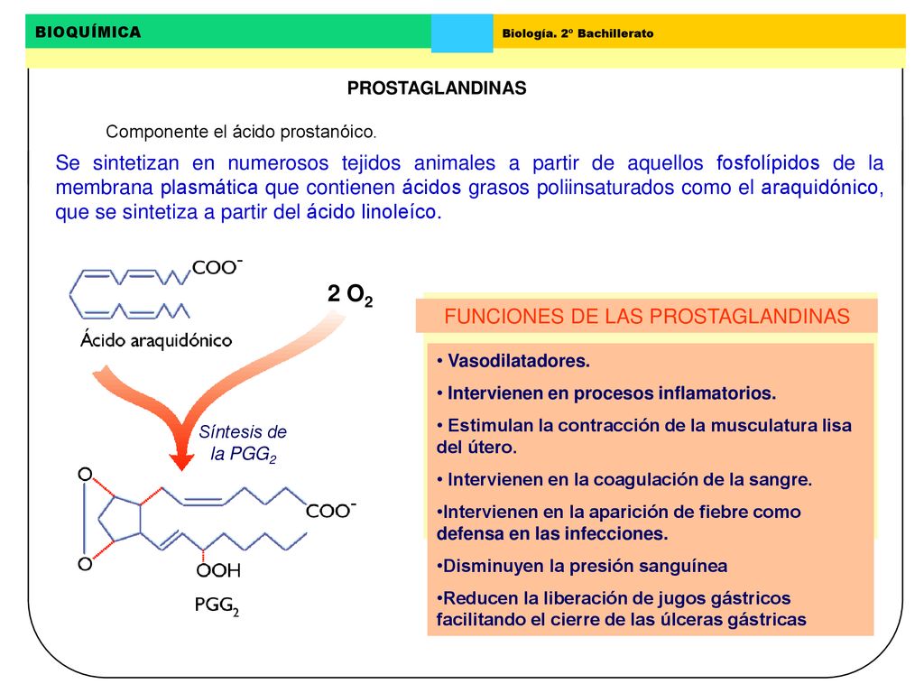 PROSTAGLANDINAS Componente el ácido prostanóico.
