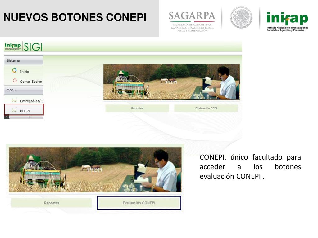 NUEVOS BOTONES CONEPI CONEPI, único facultado para acceder a los botones evaluación CONEPI .