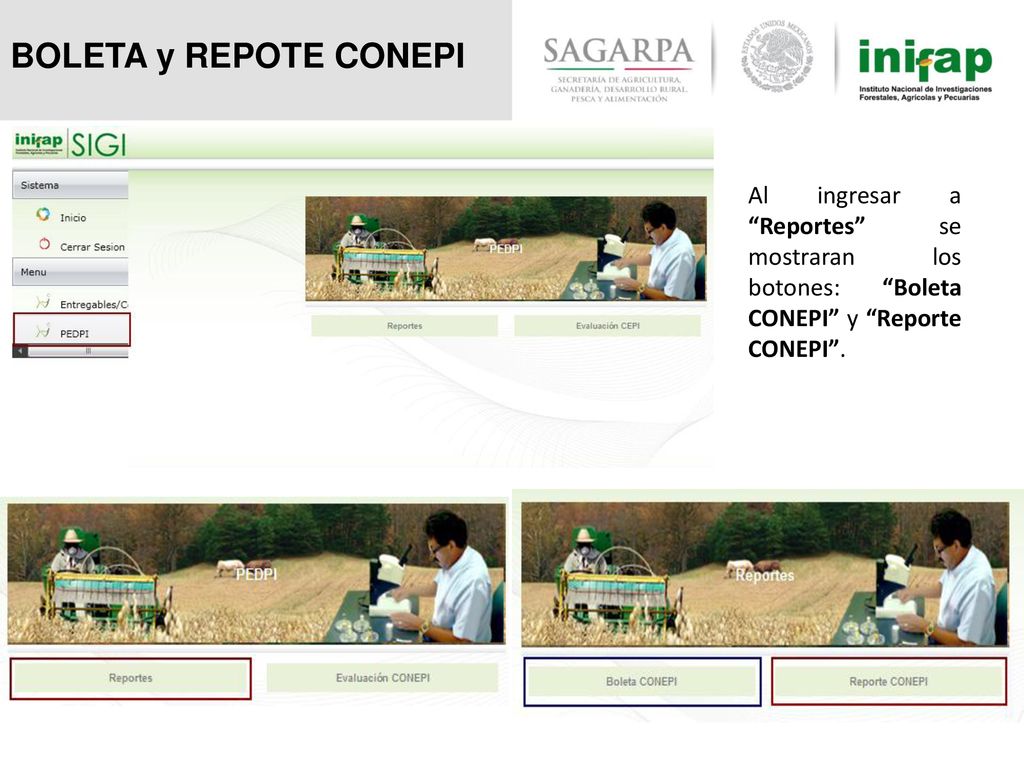 BOLETA y REPOTE CONEPI Al ingresar a Reportes se mostraran los botones: Boleta CONEPI y Reporte CONEPI .