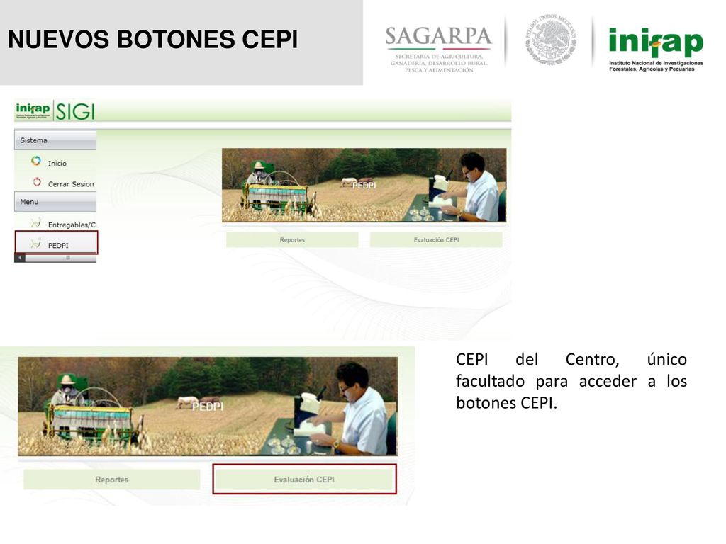 NUEVOS BOTONES CEPI CEPI del Centro, único facultado para acceder a los botones CEPI.