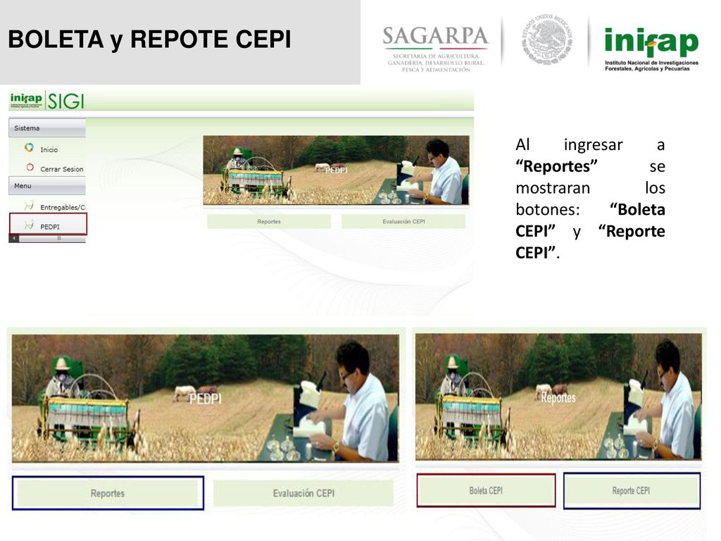 BOLETA y REPOTE CEPI Al ingresar a Reportes se mostraran los botones: Boleta CEPI y Reporte CEPI .