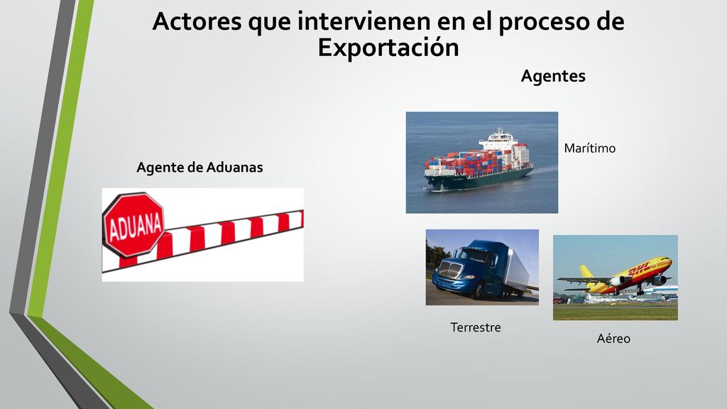 Actores que intervienen en el proceso de Exportación