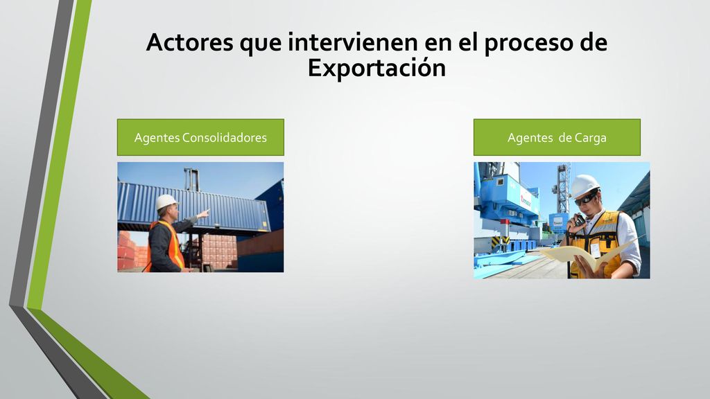 Actores que intervienen en el proceso de Exportación