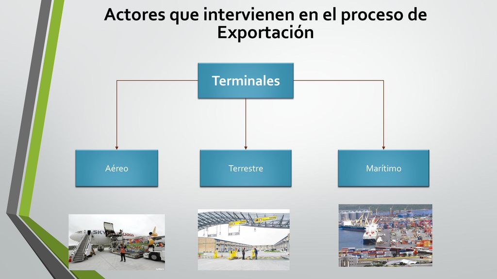 Actores que intervienen en el proceso de Exportación
