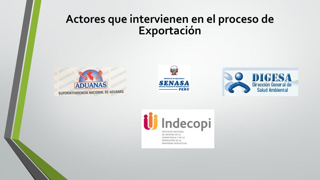 Actores que intervienen en el proceso de Exportación