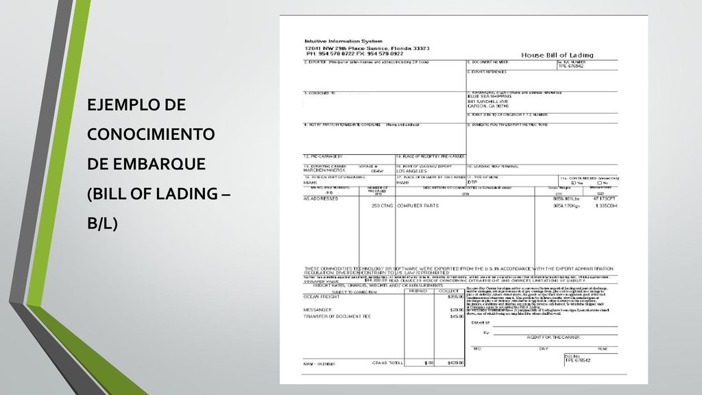 EJEMPLO DE CONOCIMIENTO DE EMBARQUE (BILL OF LADING – B/L)