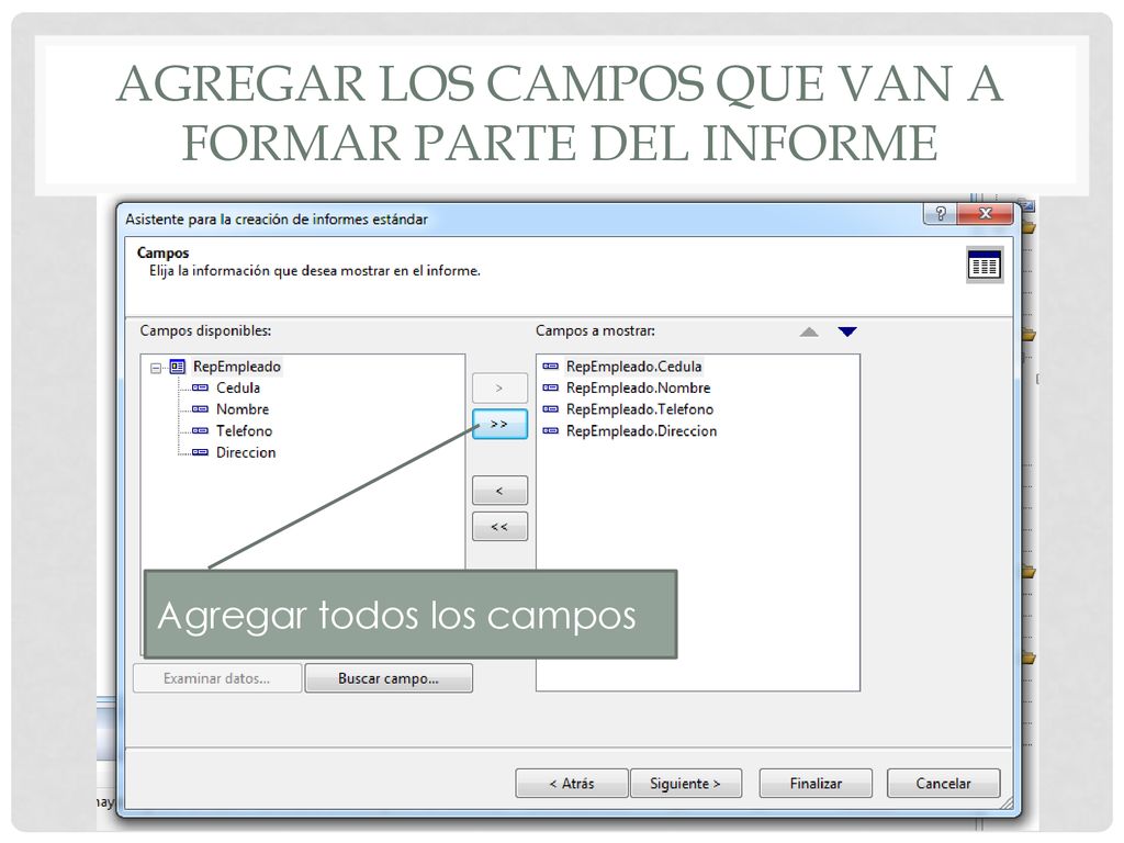 AGREGAR LOS CAMPOS QUE VAN A FORMAR PARTE DEL INFORME