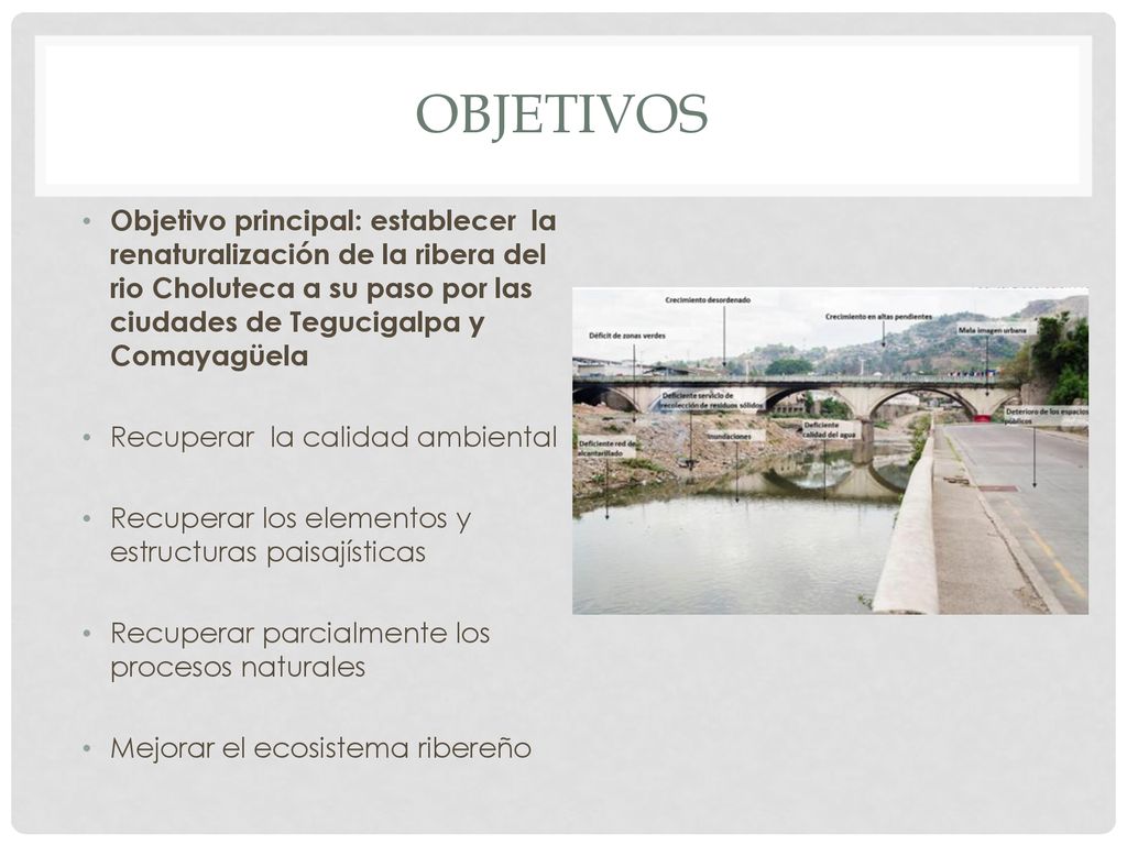 Objetivos Objetivo principal: establecer la renaturalización de la ribera del rio Choluteca a su paso por las ciudades de Tegucigalpa y Comayagüela.