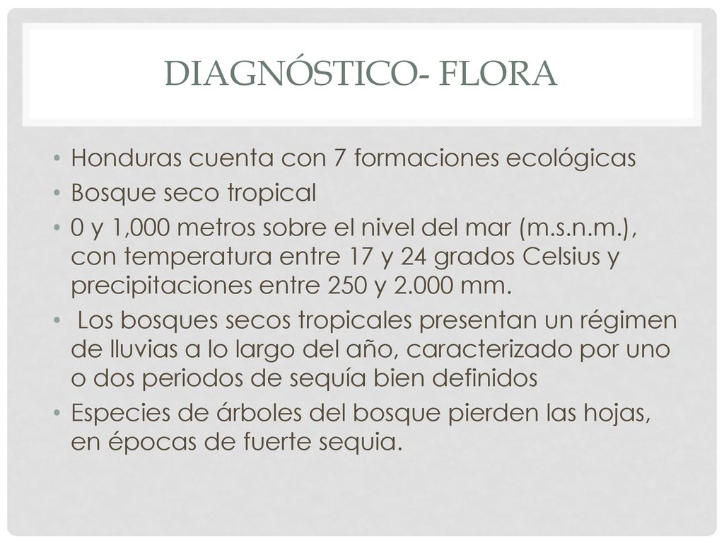 Diagnóstico- Flora Honduras cuenta con 7 formaciones ecológicas