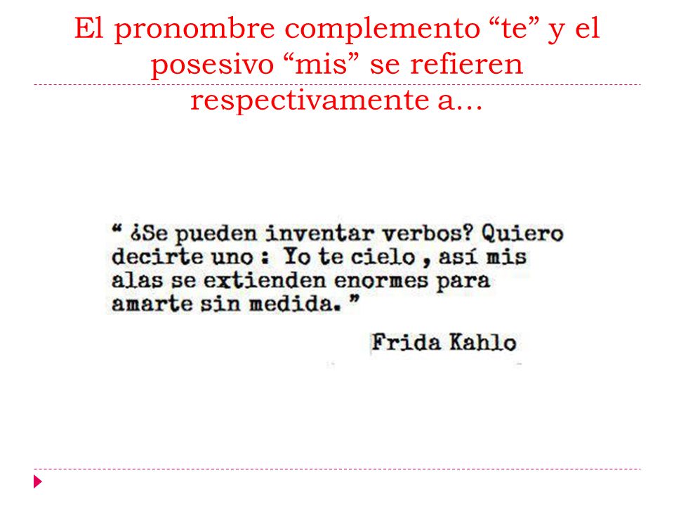 El pronombre complemento te y el posesivo mis se refieren respectivamente a...