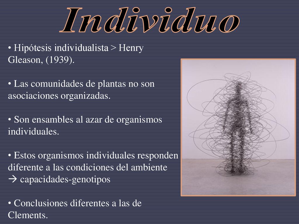 Individuo Hipótesis individualista > Henry Gleason, (1939).