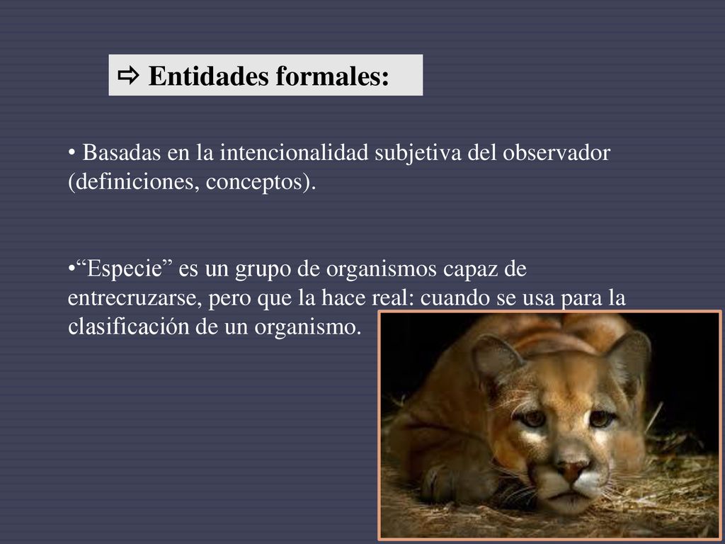  Entidades formales: Basadas en la intencionalidad subjetiva del observador (definiciones, conceptos).