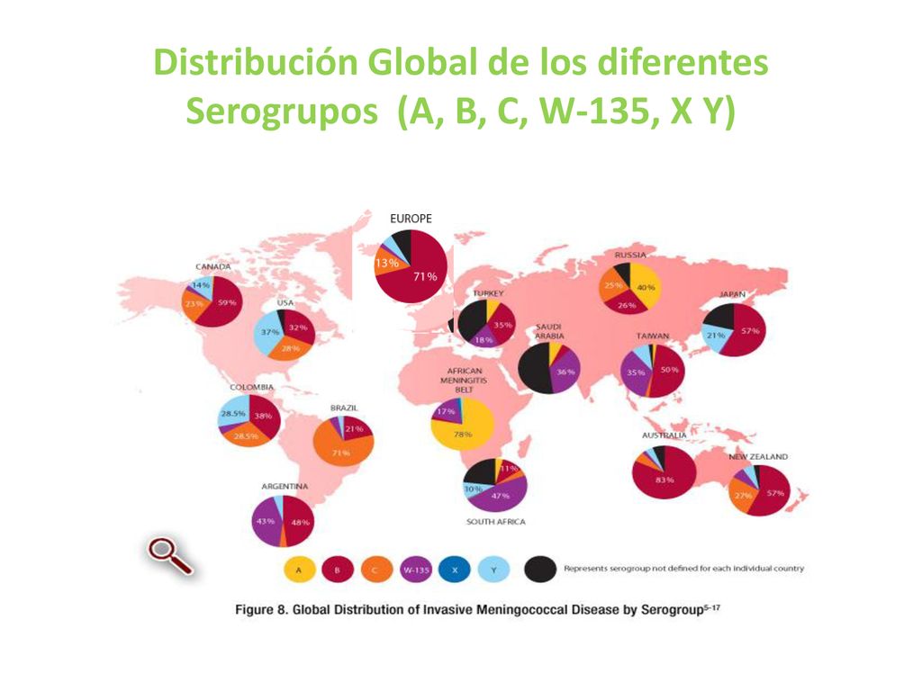Distribución Global de los diferentes Serogrupos (A, B, C, W-135, X Y)