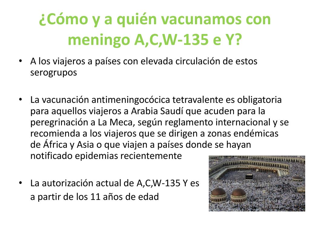 ¿Cómo y a quién vacunamos con meningo A,C,W-135 e Y