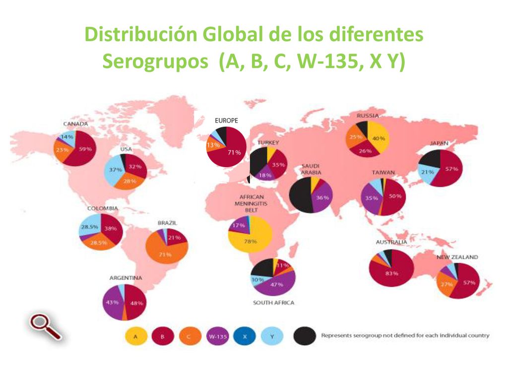 Distribución Global de los diferentes Serogrupos (A, B, C, W-135, X Y)