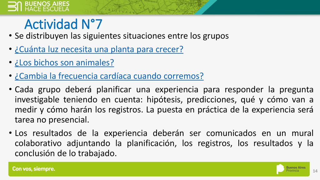 Actividad N°7 Se distribuyen las siguientes situaciones entre los grupos. ¿Cuánta luz necesita una planta para crecer
