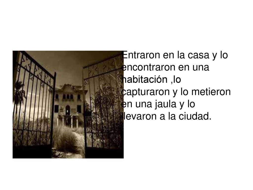Entraron en la casa y lo encontraron en una habitación ,lo capturaron y lo metieron en una jaula y lo llevaron a la ciudad.