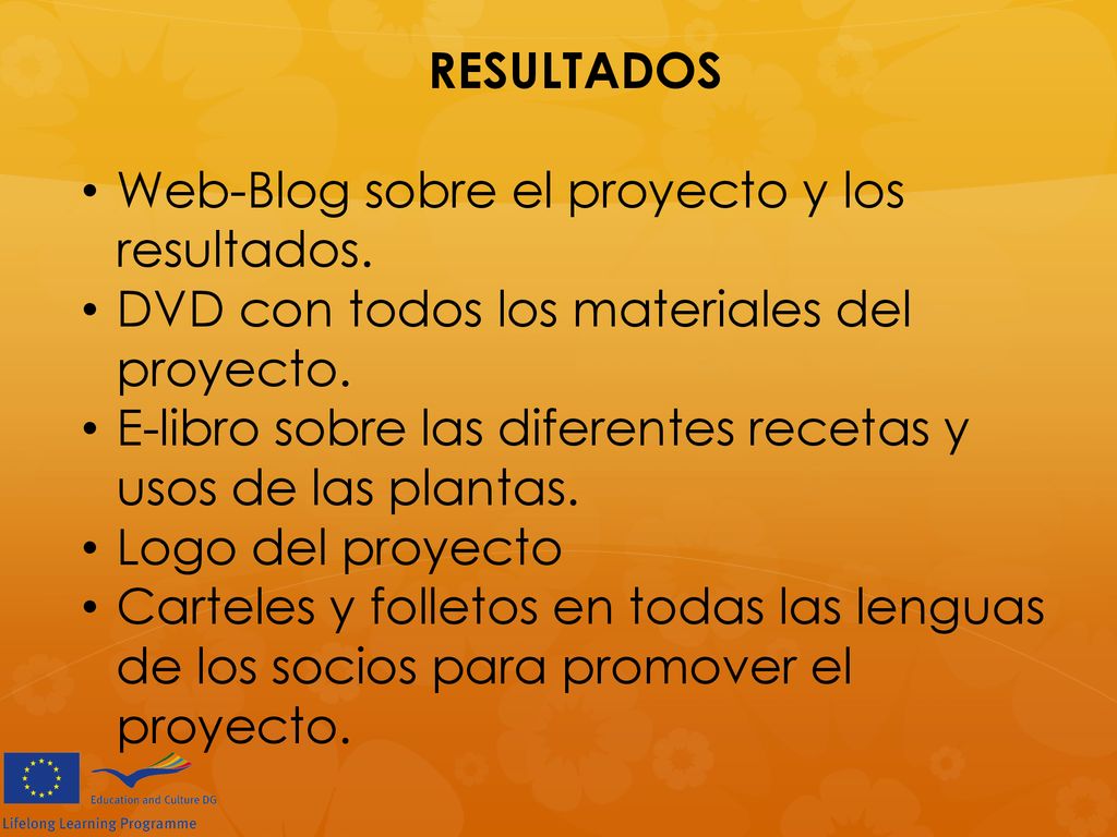 RESULTADOS Web-Blog sobre el proyecto y los resultados. DVD con todos los materiales del proyecto.