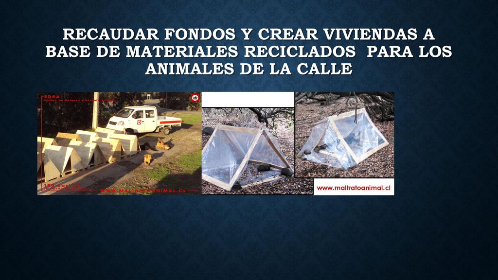 Recaudar fondos y crear viviendas a base de materiales reciclados para los animales de la calle