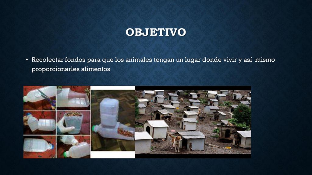 Objetivo Recolectar fondos para que los animales tengan un lugar donde vivir y así mismo proporcionarles alimentos.