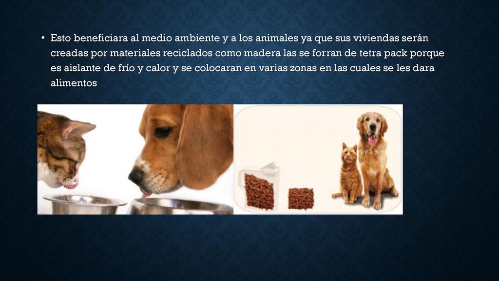 Esto beneficiara al medio ambiente y a los animales ya que sus viviendas serán creadas por materiales reciclados como madera las se forran de tetra pack porque es aislante de frío y calor y se colocaran en varias zonas en las cuales se les dara alimentos