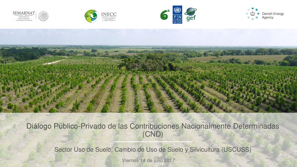 Sector Uso de Suelo, Cambio de Uso de Suelo y Silvicultura (USCUSS)