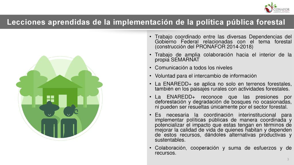 Lecciones aprendidas de la implementación de la política pública forestal