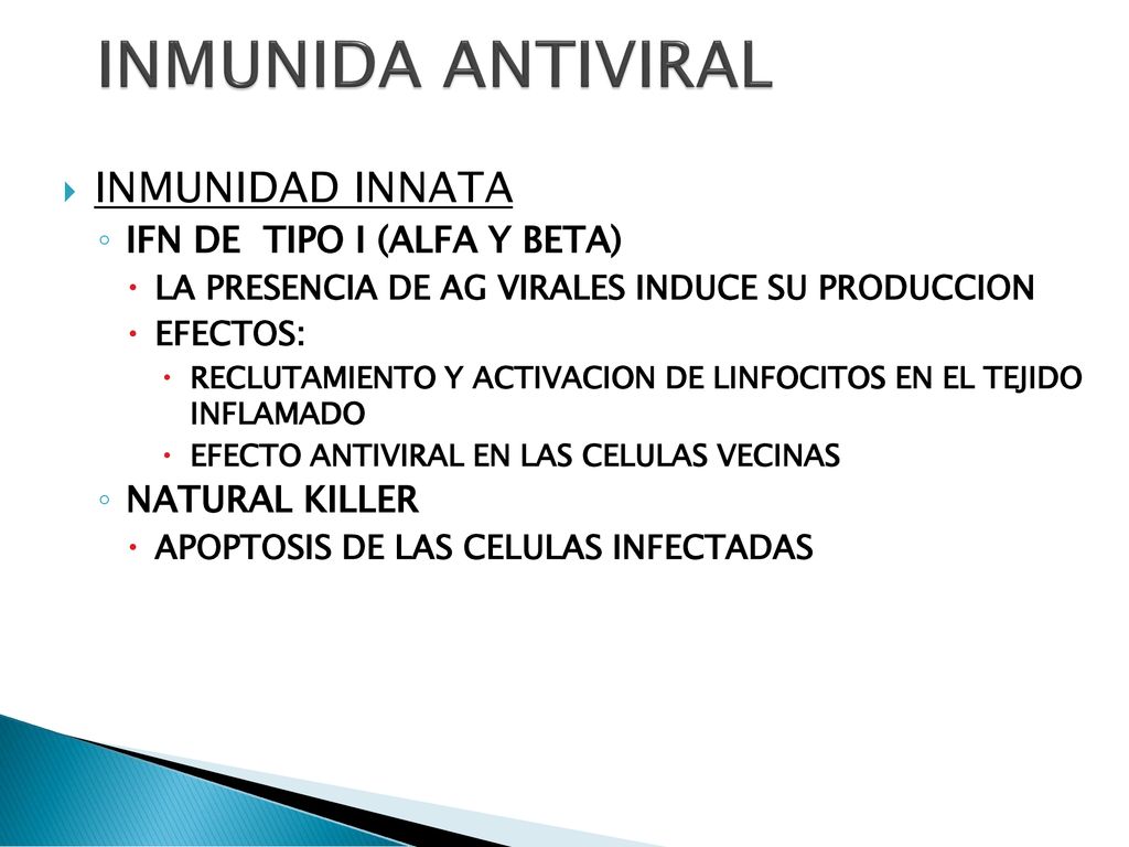 INMUNIDA ANTIVIRAL INMUNIDAD INNATA IFN DE TIPO I (ALFA Y BETA)