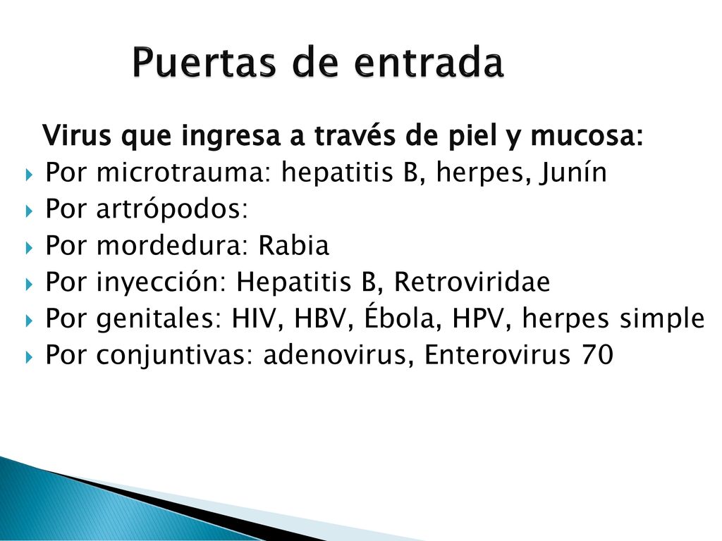 Puertas de entrada Virus que ingresa a través de piel y mucosa: