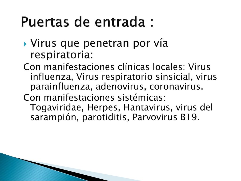 Puertas de entrada : Virus que penetran por vía respiratoria:
