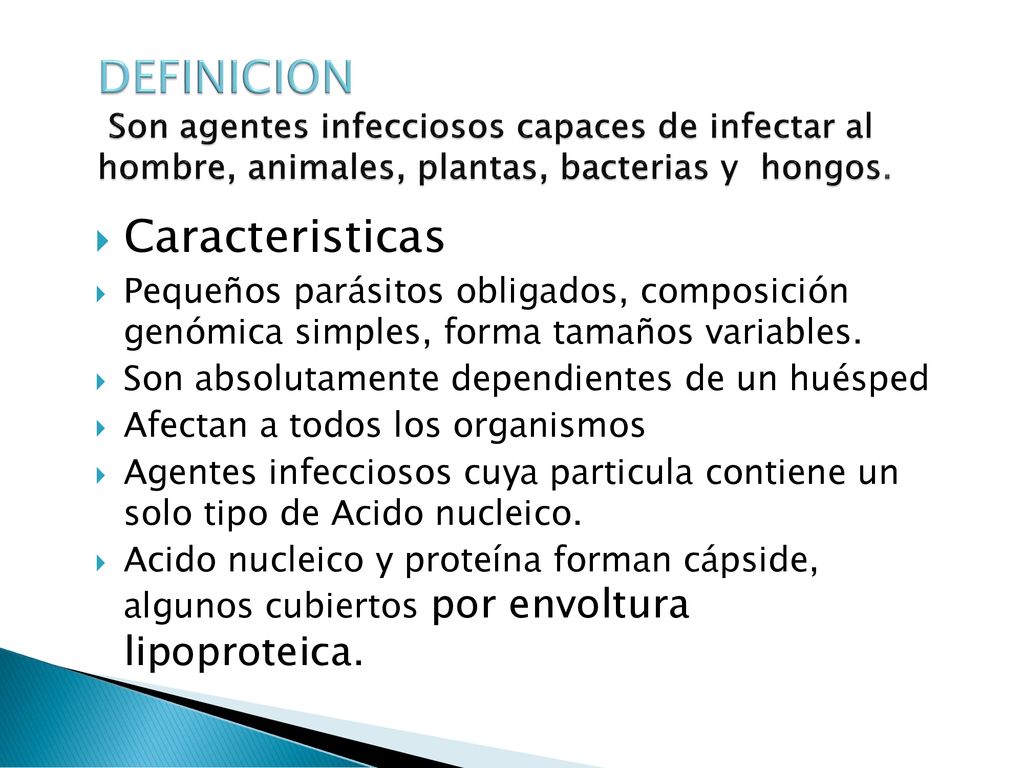 DEFINICION Son agentes infecciosos capaces de infectar al hombre, animales, plantas, bacterias y hongos.