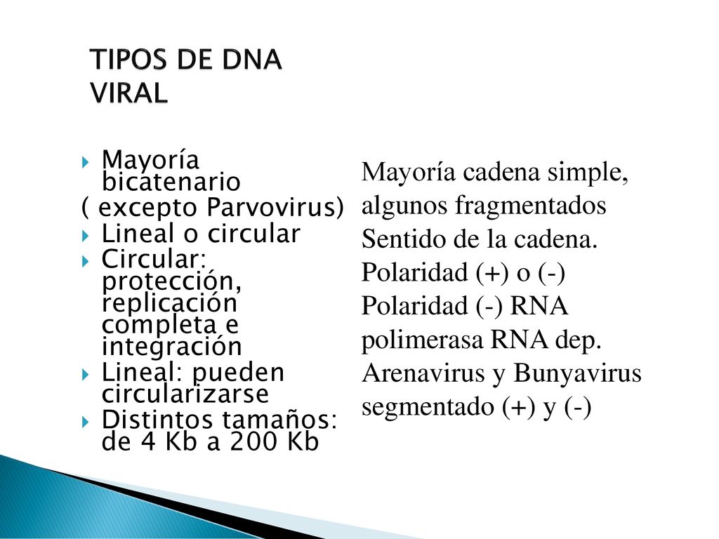 RNA VIRALES TIPOS DE DNA VIRAL