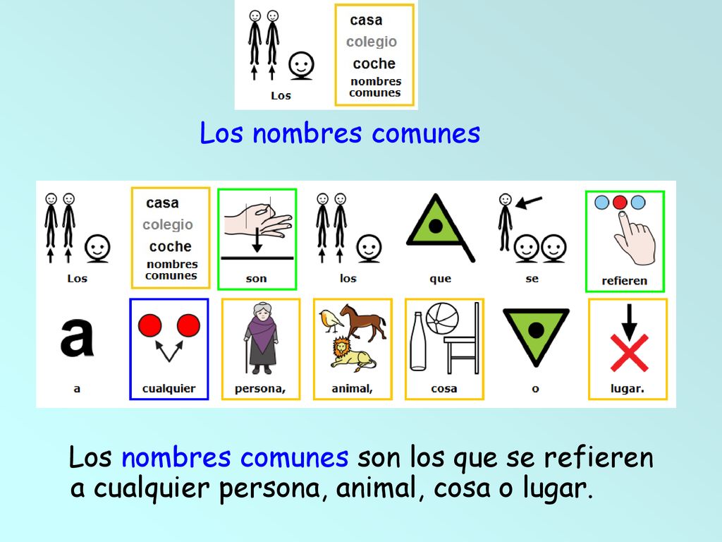 Los nombres comunes Los nombres comunes son los que se refieren a cualquier persona, animal, cosa o lugar.