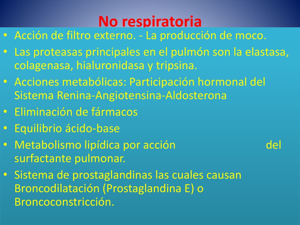 No respiratoria Acción de filtro externo. - La producción de moco.