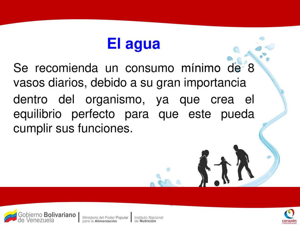 El agua Se recomienda un consumo mínimo de 8 vasos diarios, debido a su gran importancia.