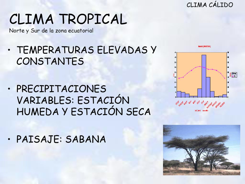 CLIMA TROPICAL Norte y Sur de la zona ecuatorial