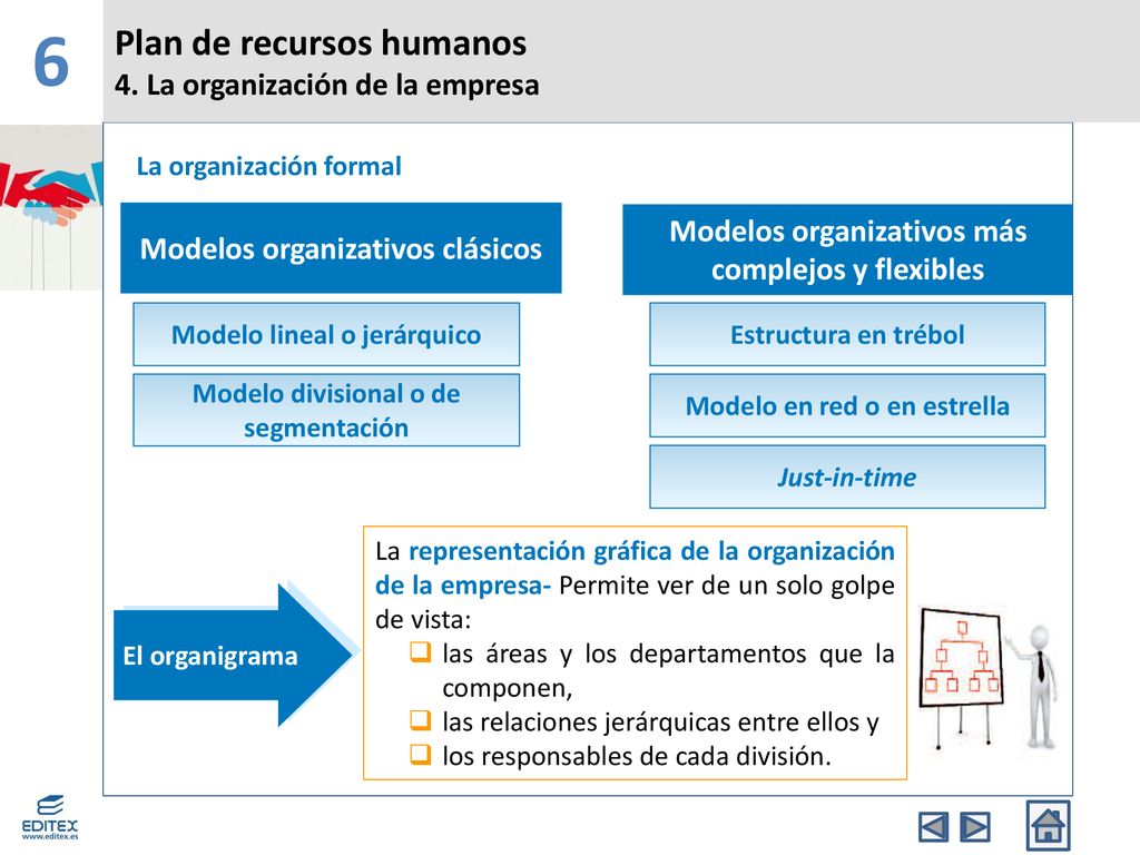 6 Plan de recursos humanos 4. La organización de la empresa