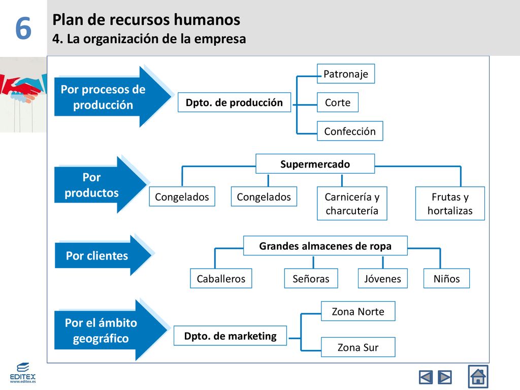 6 Plan de recursos humanos 4. La organización de la empresa