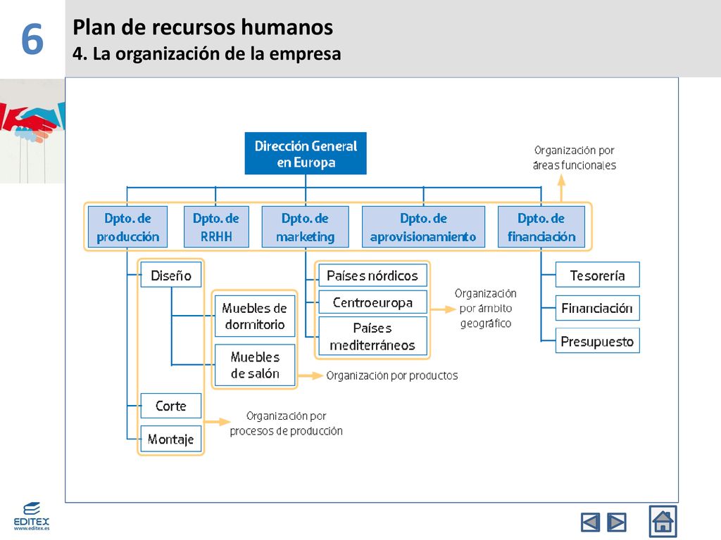 6 Plan de recursos humanos 4. La organización de la empresa