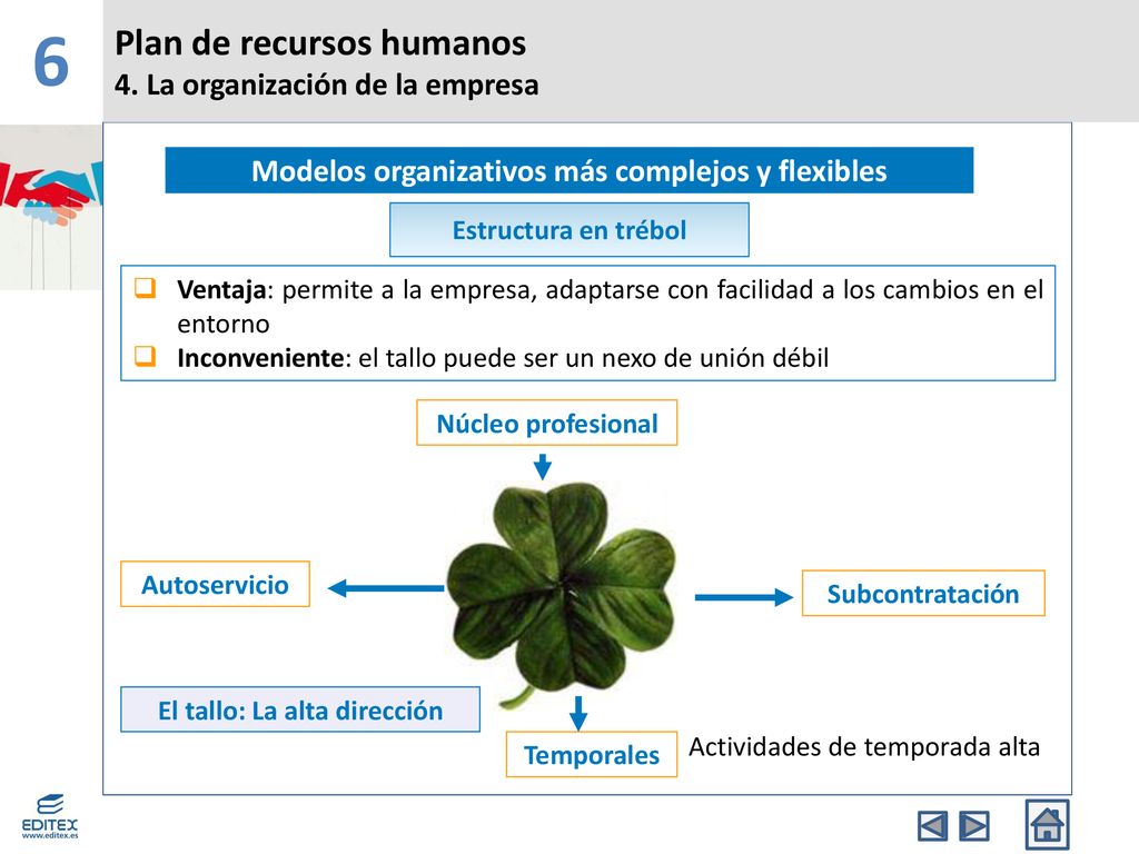 6 Plan de recursos humanos 4. La organización de la empresa