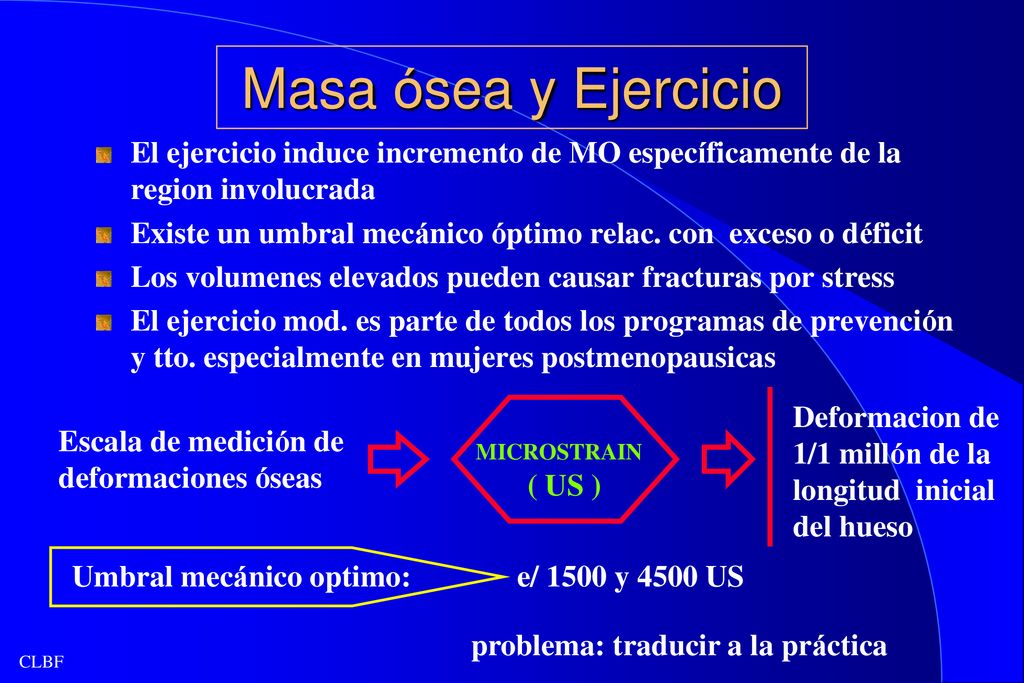 Masa ósea y Ejercicio El ejercicio induce incremento de MO específicamente de la region involucrada.