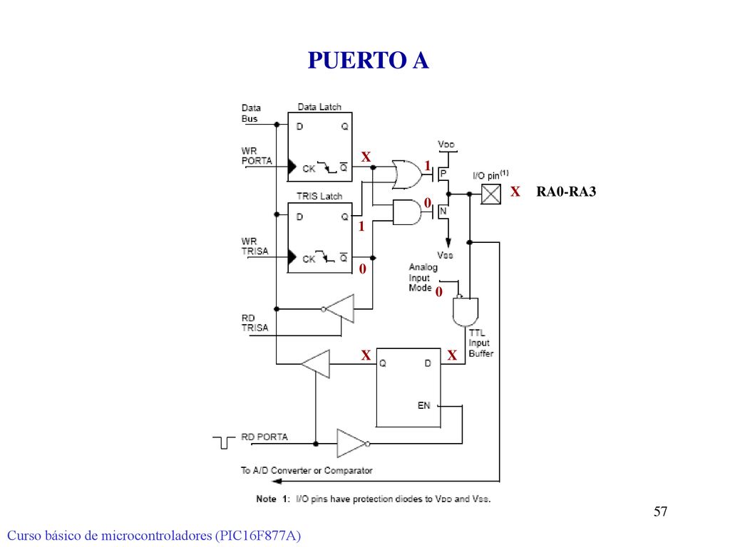 PUERTO A X 1 X RA0-RA3 1 X X Curso básico de microcontroladores (PIC16F877A)