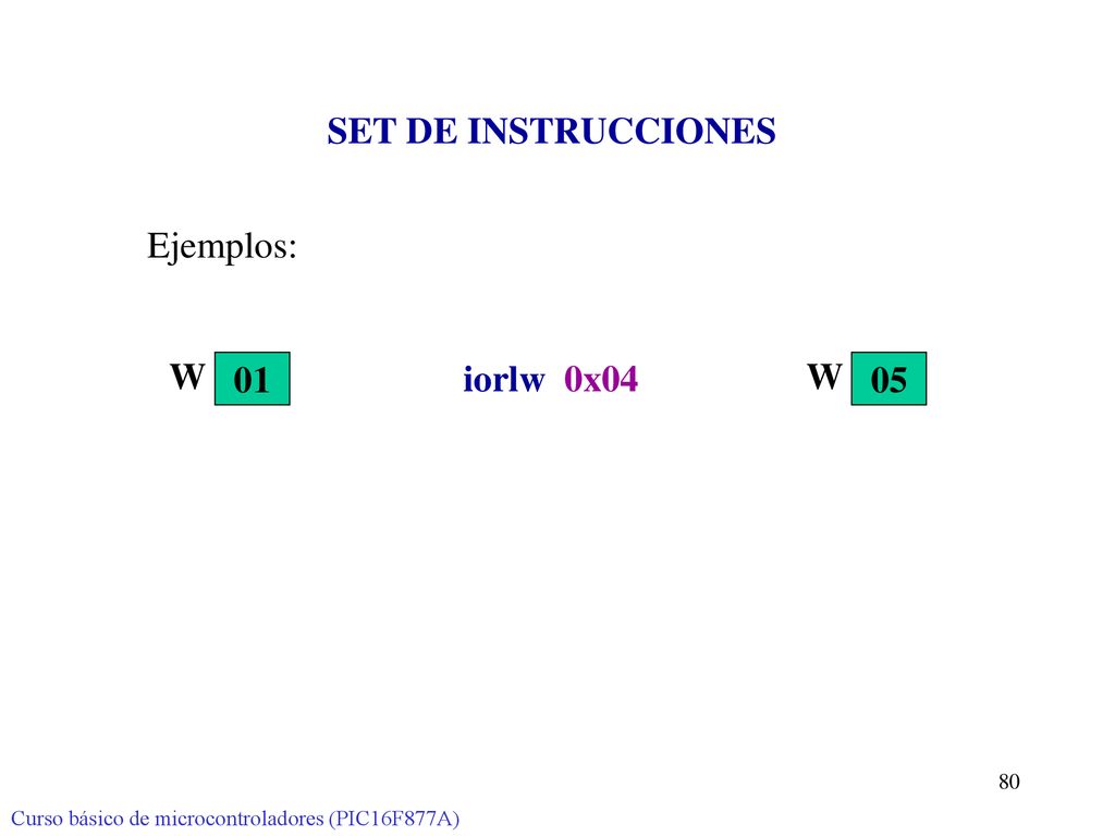 SET DE INSTRUCCIONES Ejemplos: iorlw 0x04 W 01 W 05