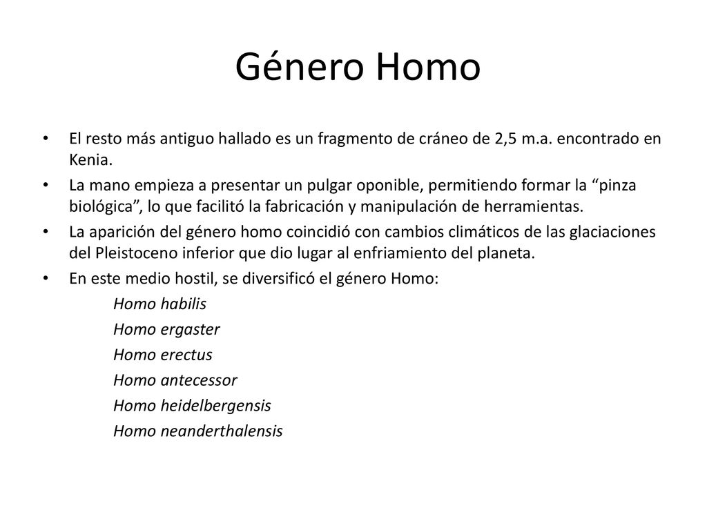 Género Homo El resto más antiguo hallado es un fragmento de cráneo de 2,5 m.a. encontrado en Kenia.