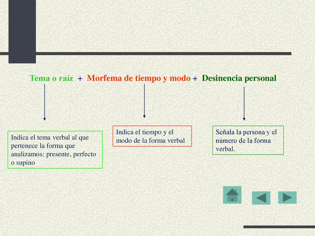 Tema o raíz + Morfema de tiempo y modo + Desinencia personal