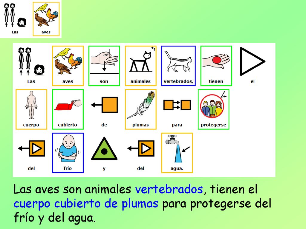 Las aves son animales vertebrados, tienen el cuerpo cubierto de plumas para protegerse del frío y del agua.