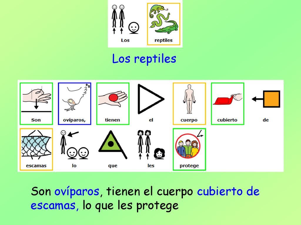 Los reptiles Son ovíparos, tienen el cuerpo cubierto de escamas, lo que les protege